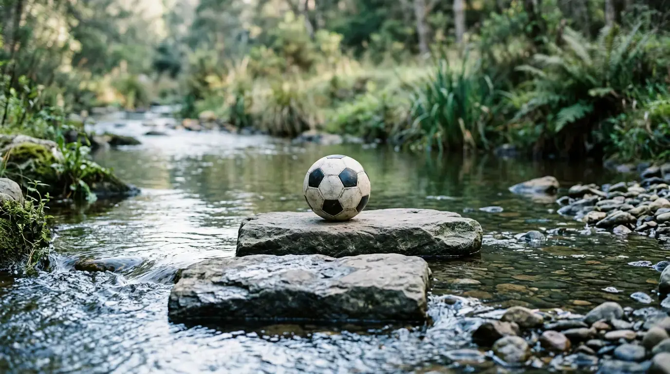 Deux pierres pour traverser un ruisseau, un ballon de football posé sur la seconde